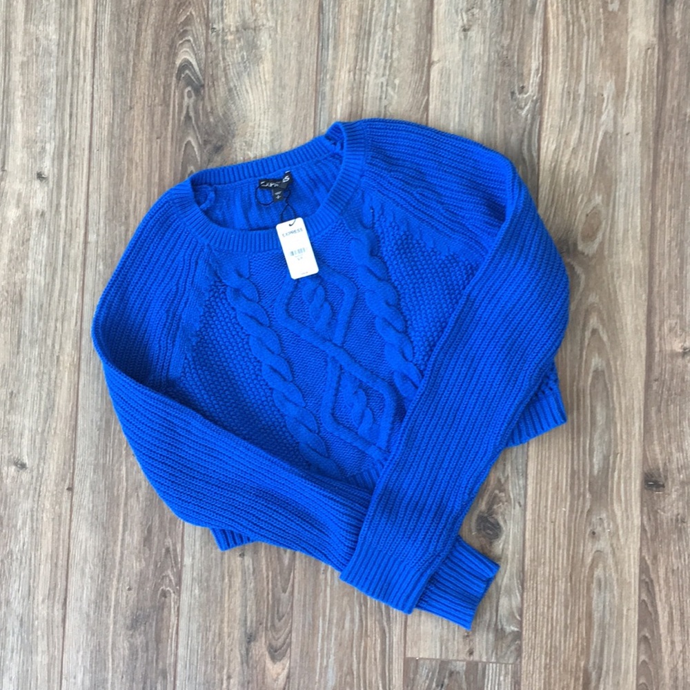 Express Cropped Sweater